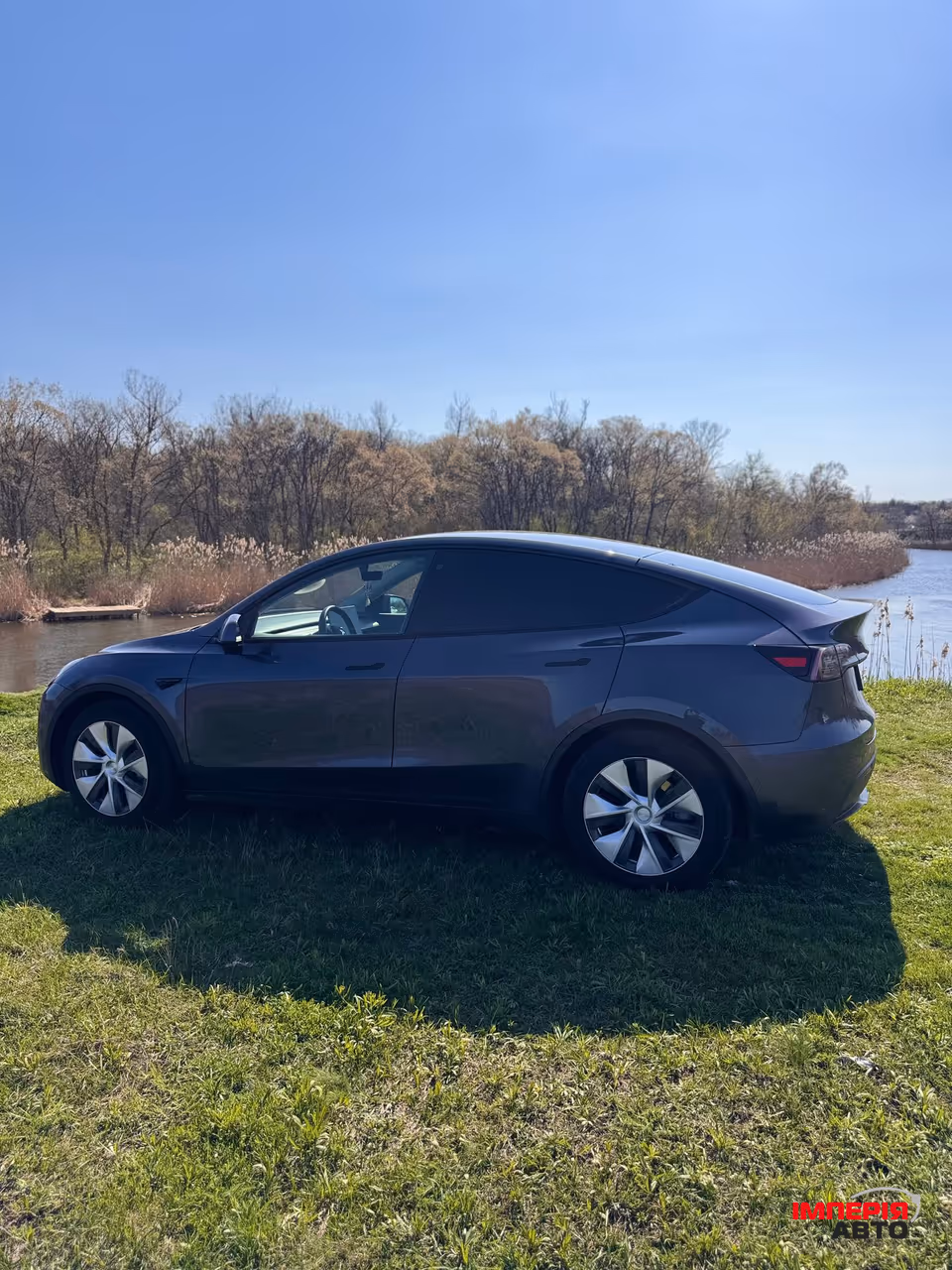 Tesla Model Y - фото 1