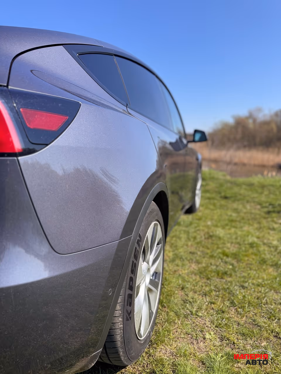 Tesla Model Y - фото 4
