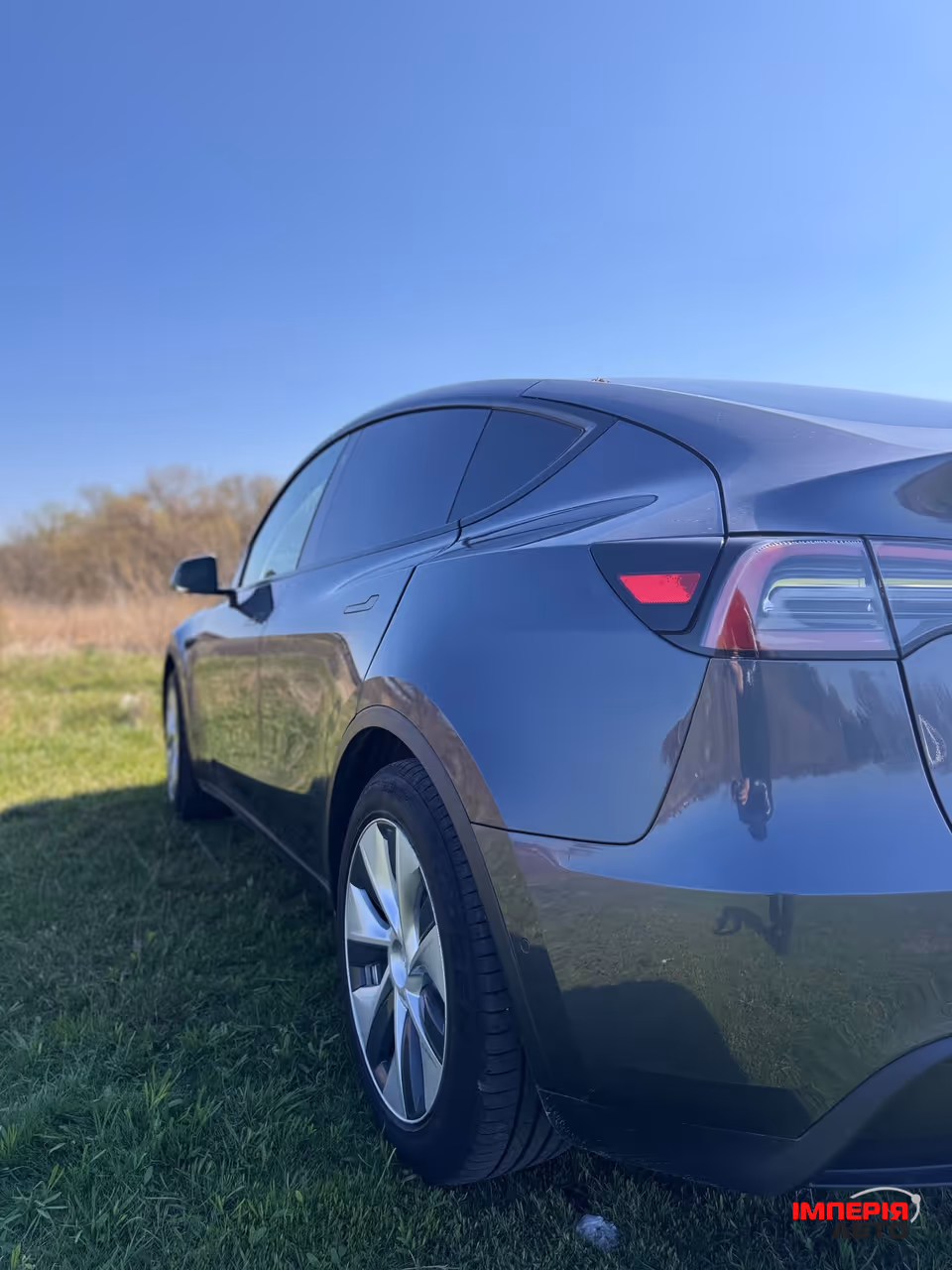 Tesla Model Y - фото 5