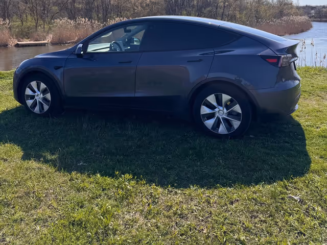 Tesla Model Y - фото 1