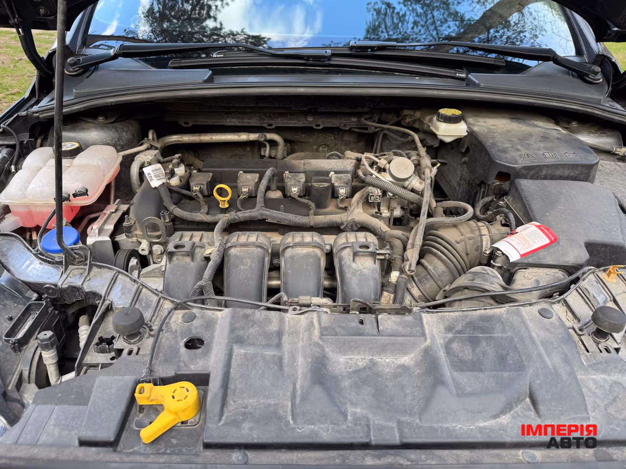 Ford Focus - фото 19