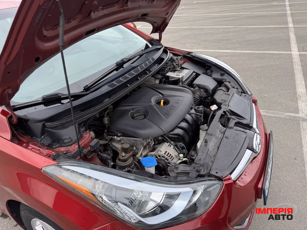 Hyundai Elantra - фото 8