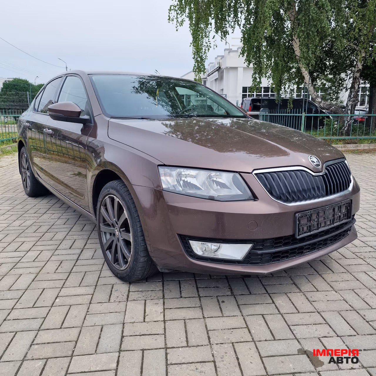 Skoda Octavia - фото 1