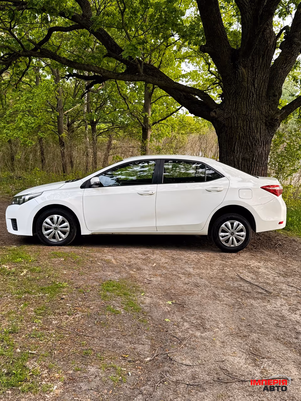 Toyota Corolla - фото 6