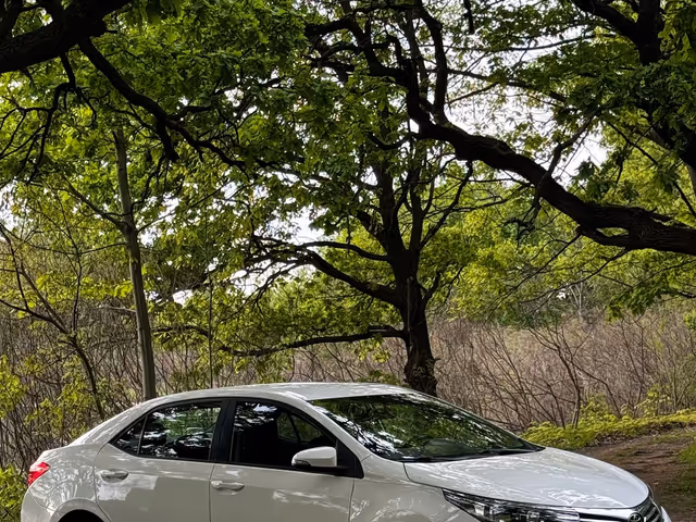 Toyota Corolla - фото 3