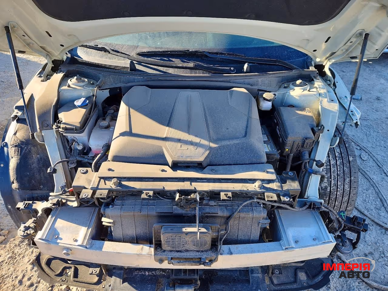 Kia EV6 - фото 11