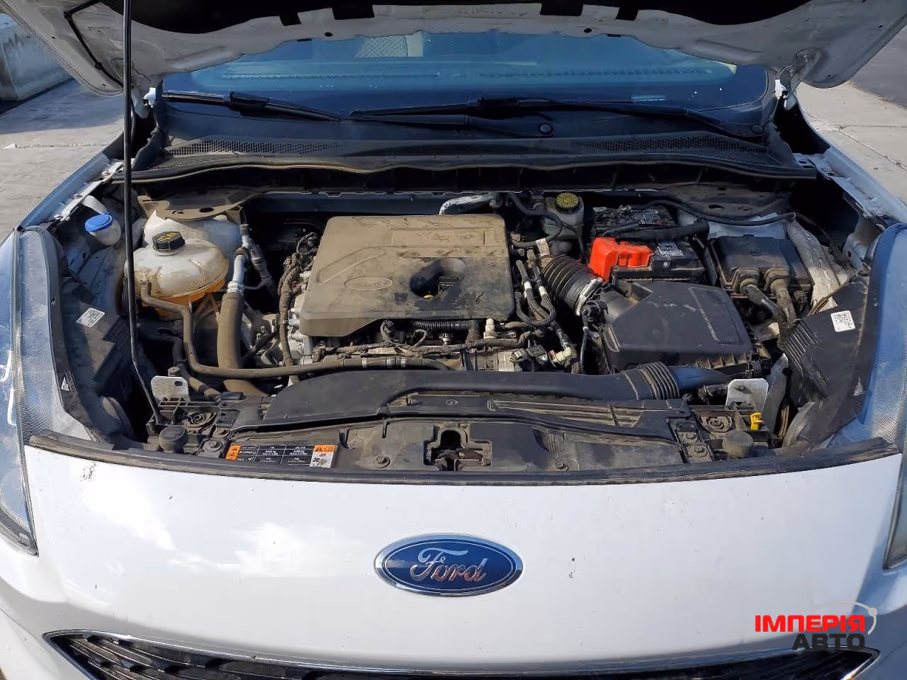 Ford Escape - фото 10