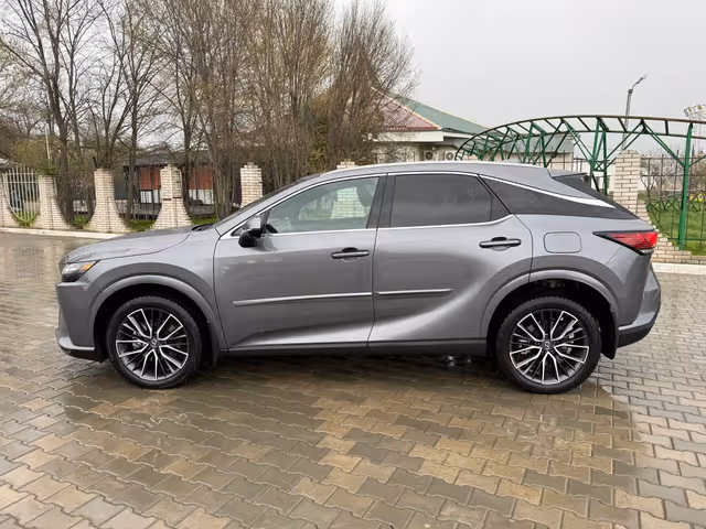 Lexus RX - фото 3