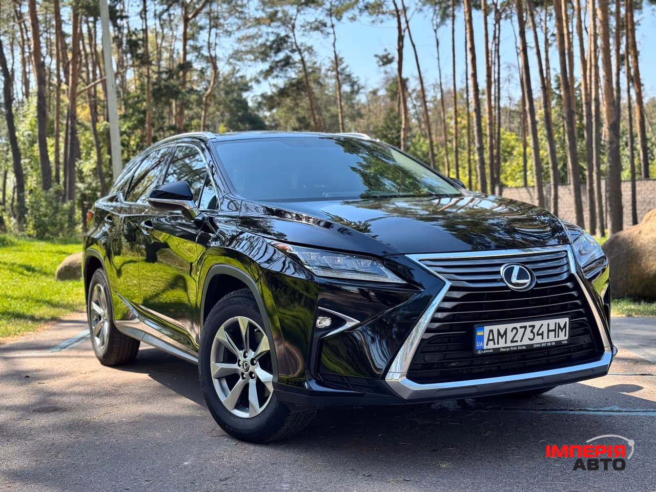 Lexus RX - фото 4
