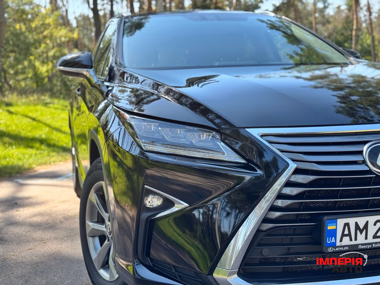 Lexus RX - фото 5