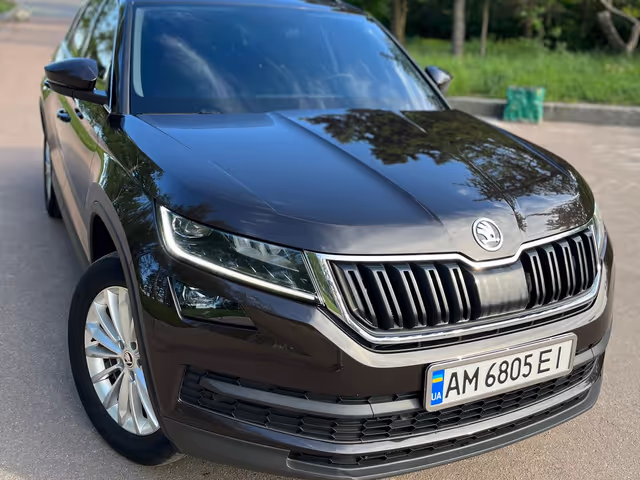 Skoda Kodiaq - фото 4