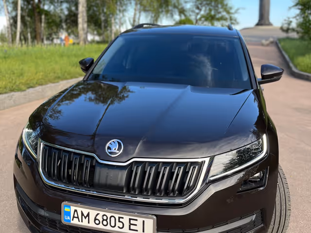 Skoda Kodiaq - фото 2