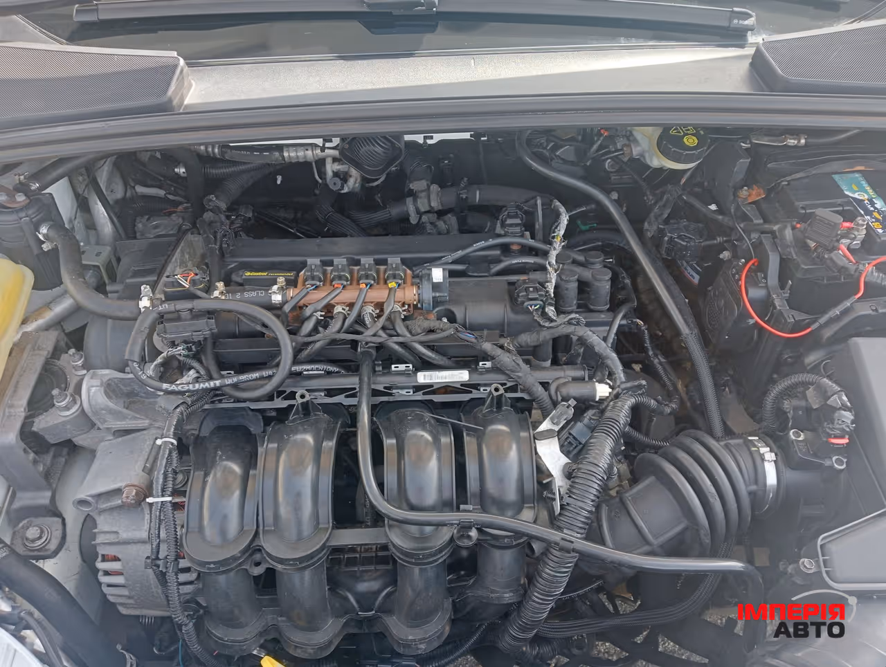 Ford Focus - фото 5