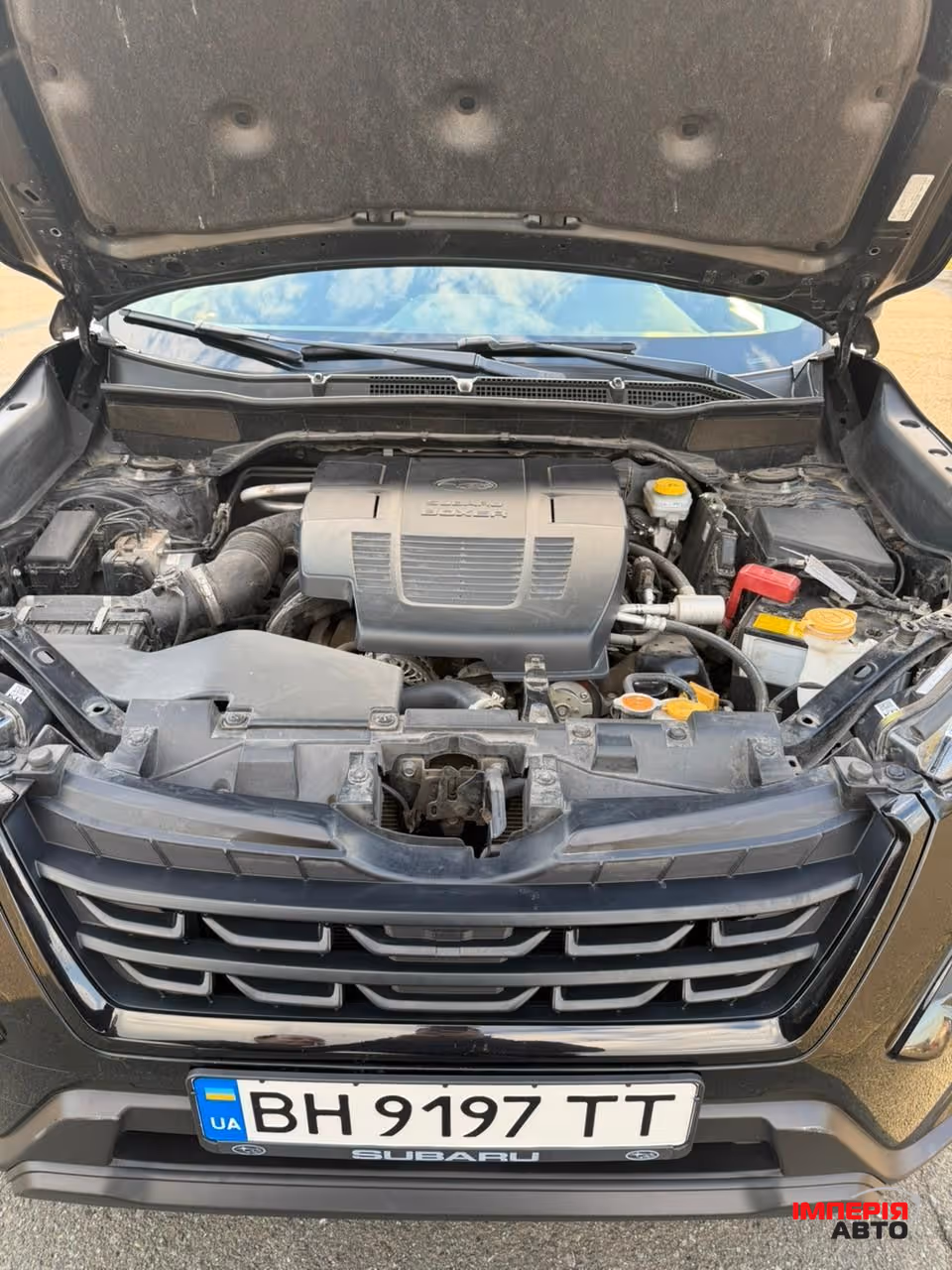 Subaru Forester - фото 19