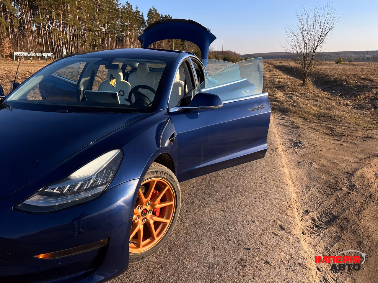 Tesla Model 3 - фото 23