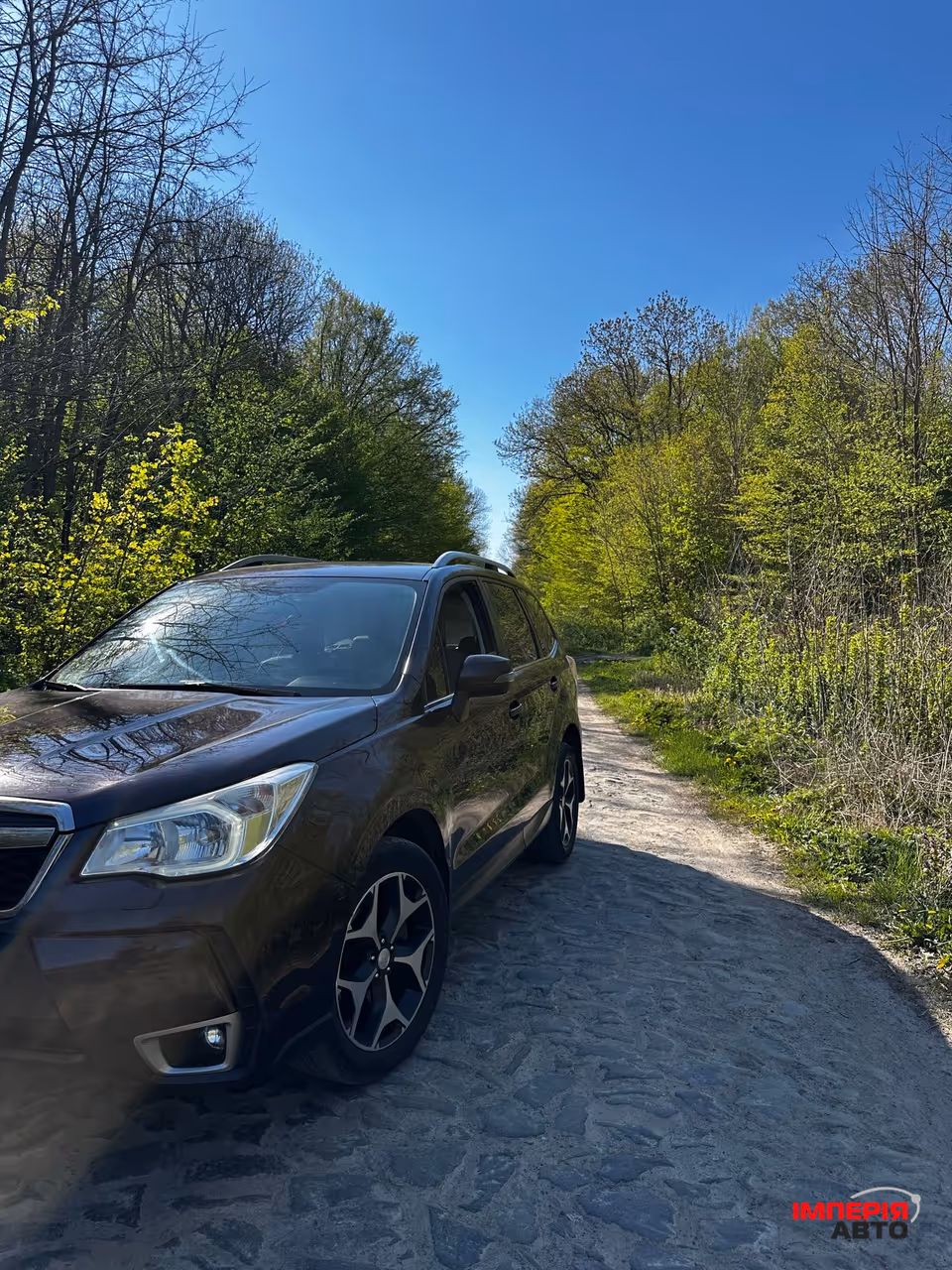 Subaru Forester - фото 2