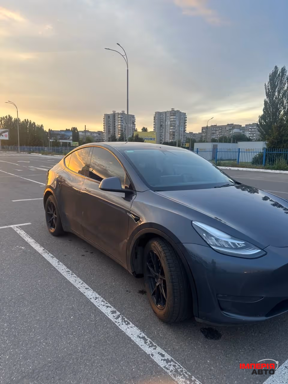Tesla Model Y - фото 6