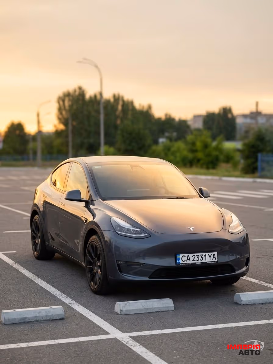 Tesla Model Y - фото 2