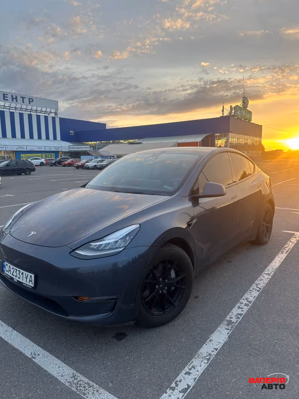 Tesla Model Y - фото 11