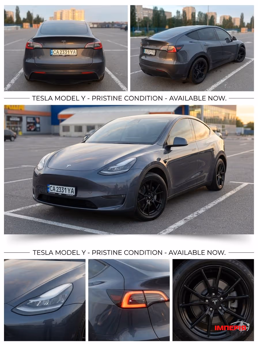 Tesla Model Y - фото 1