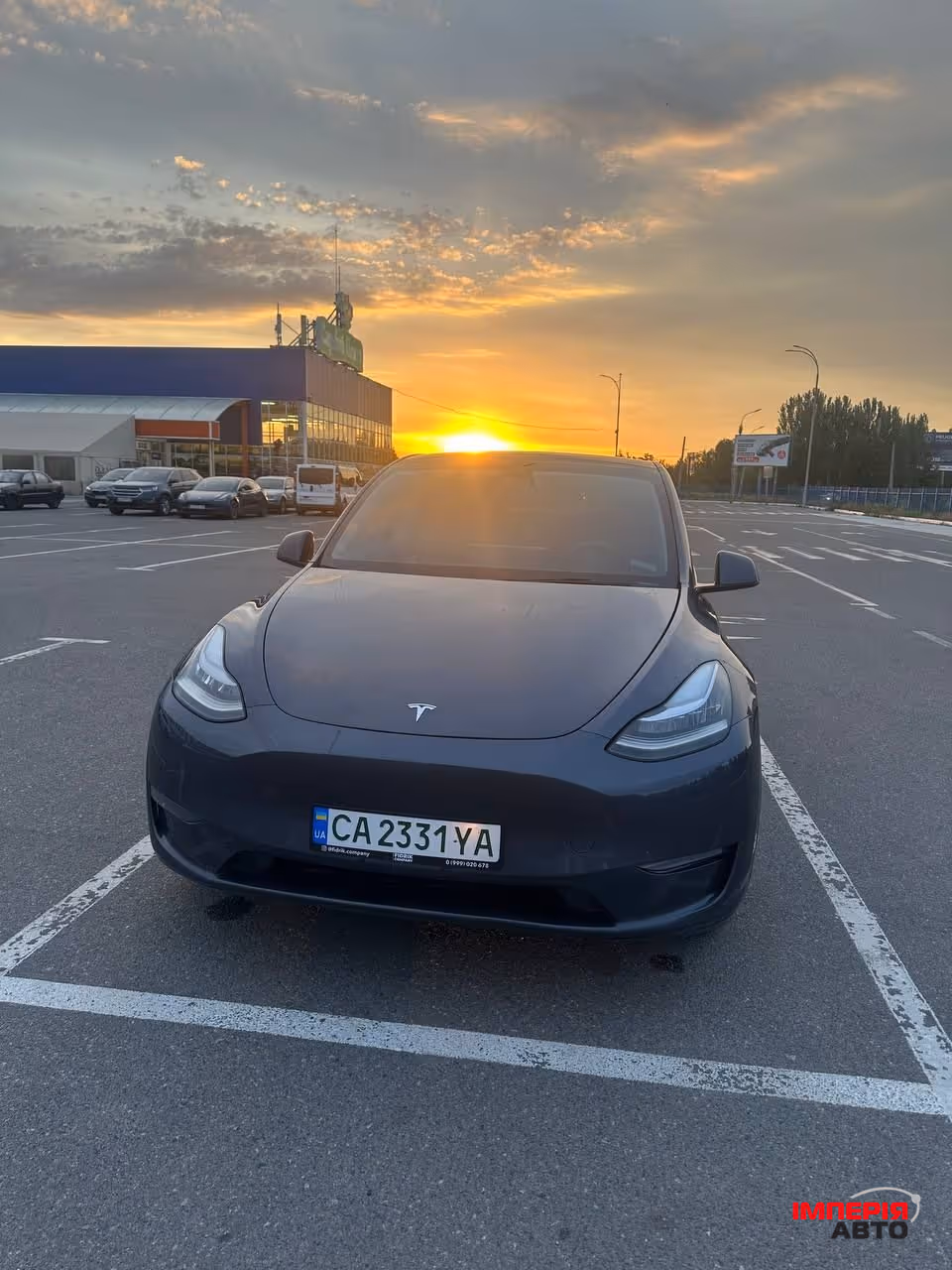 Tesla Model Y - фото 12