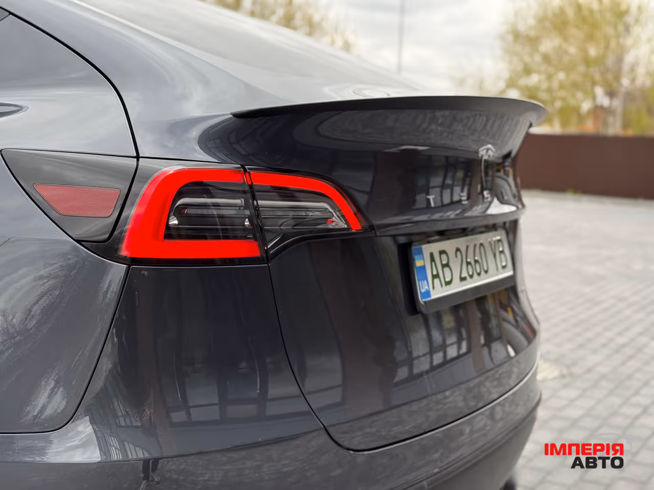 Tesla Model Y - фото 18
