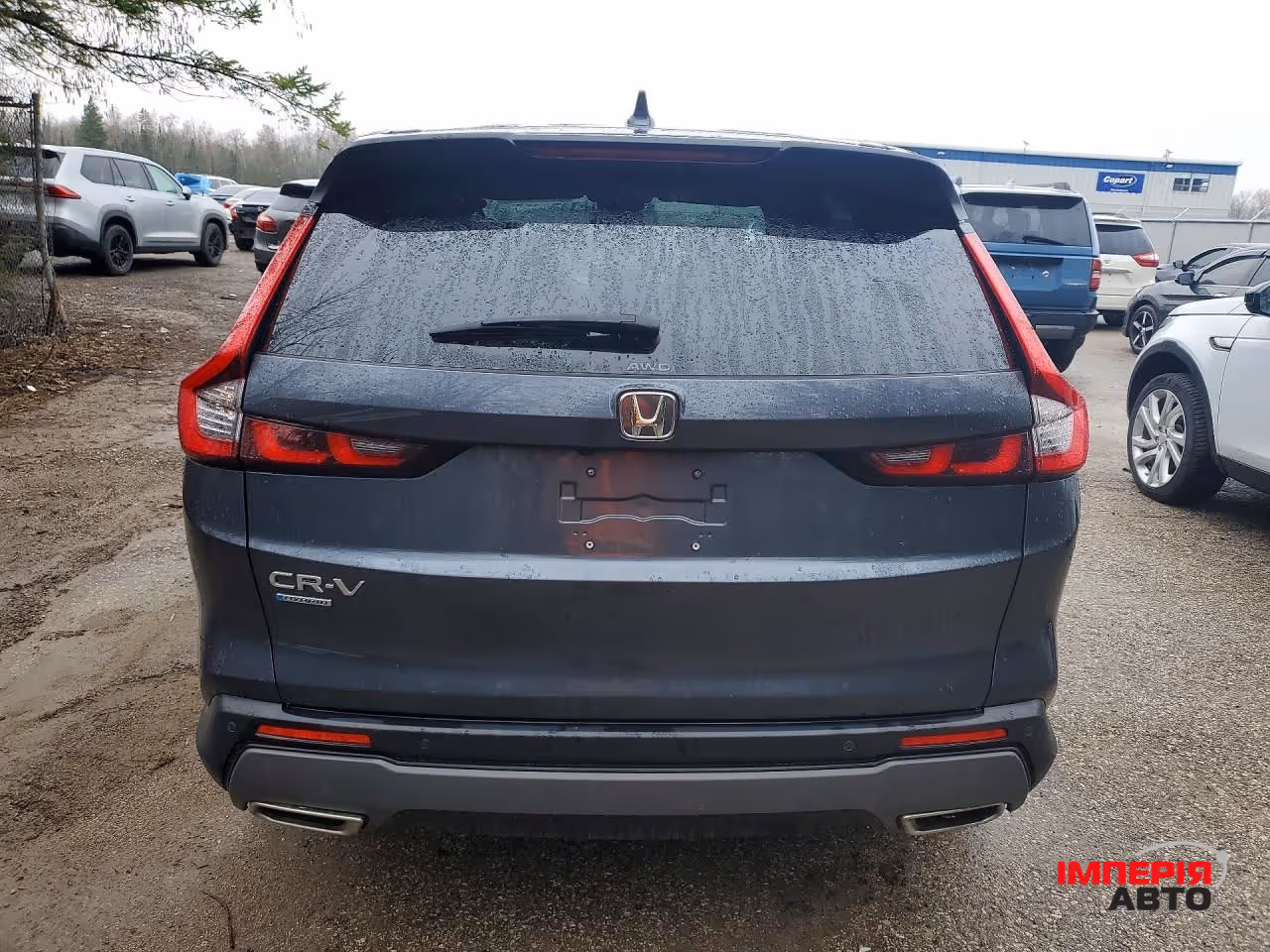 Honda CR-V - фото 5