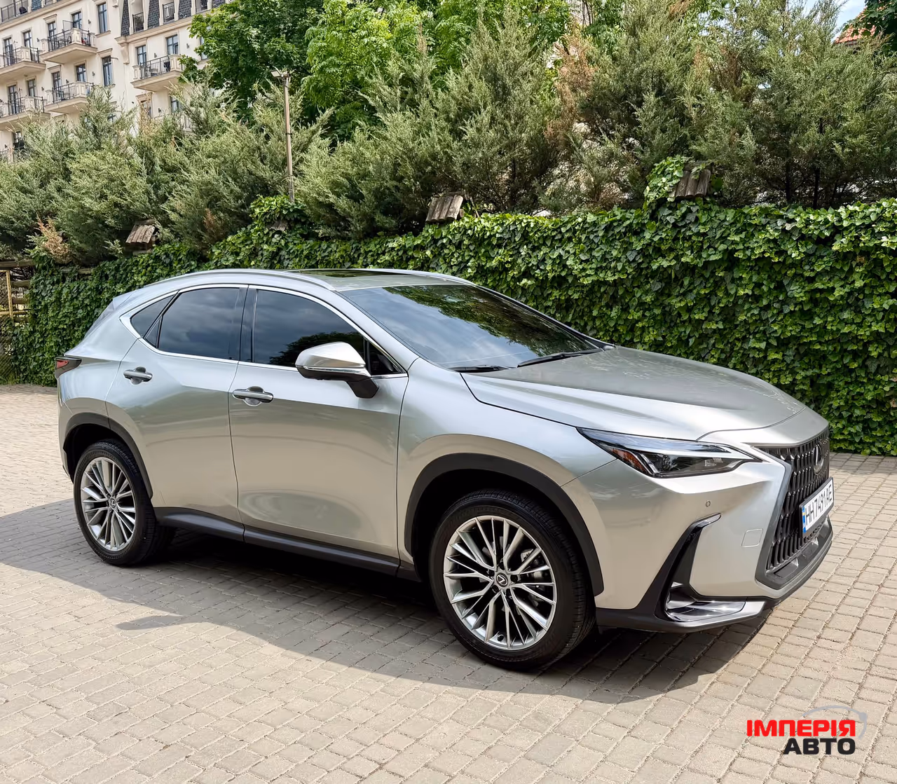 Lexus NX - фото 9