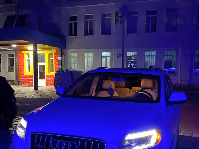 Audi Q7 - фото 1