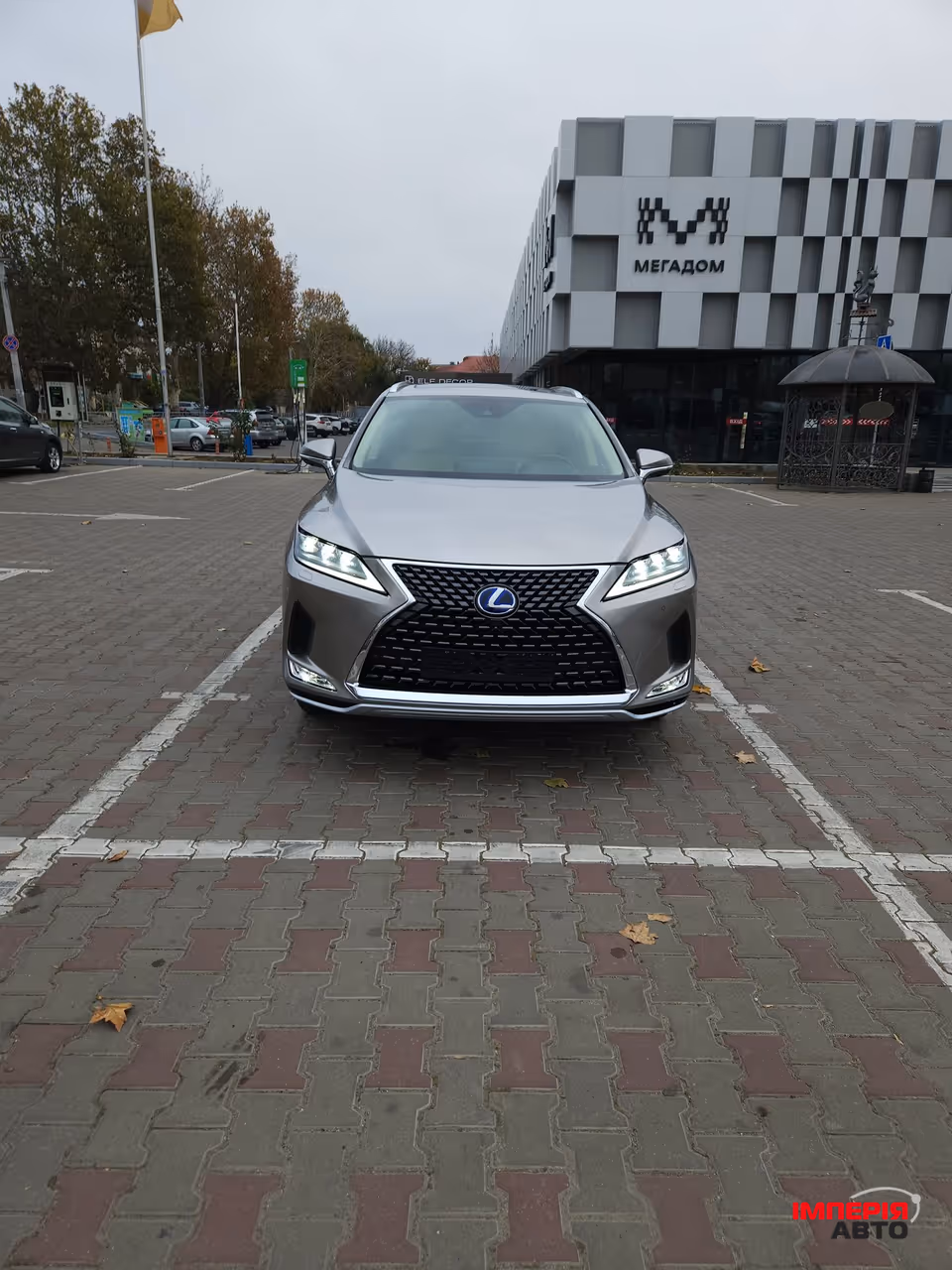 Lexus RX - фото 10