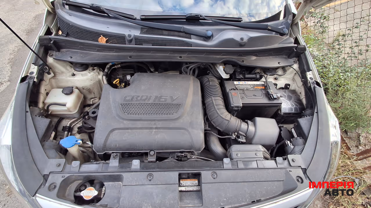 Kia Sportage - фото 2