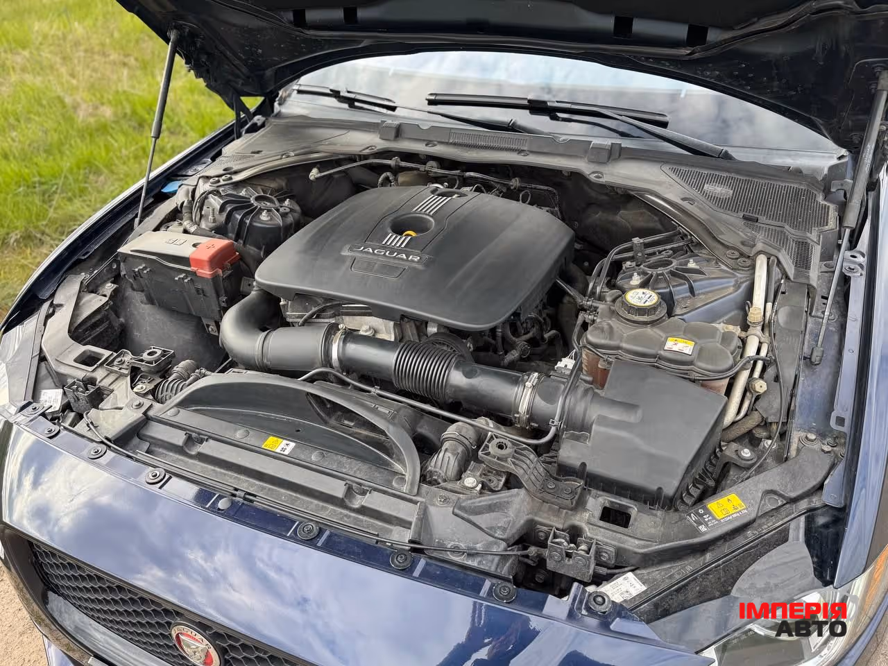 Jaguar XE - фото 65