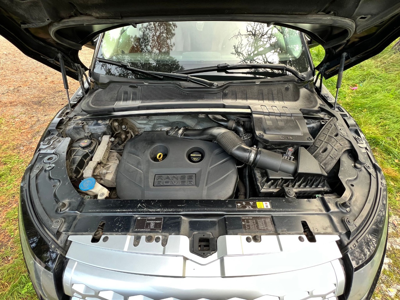 Land Rover Range Rover Evoque - фото 6