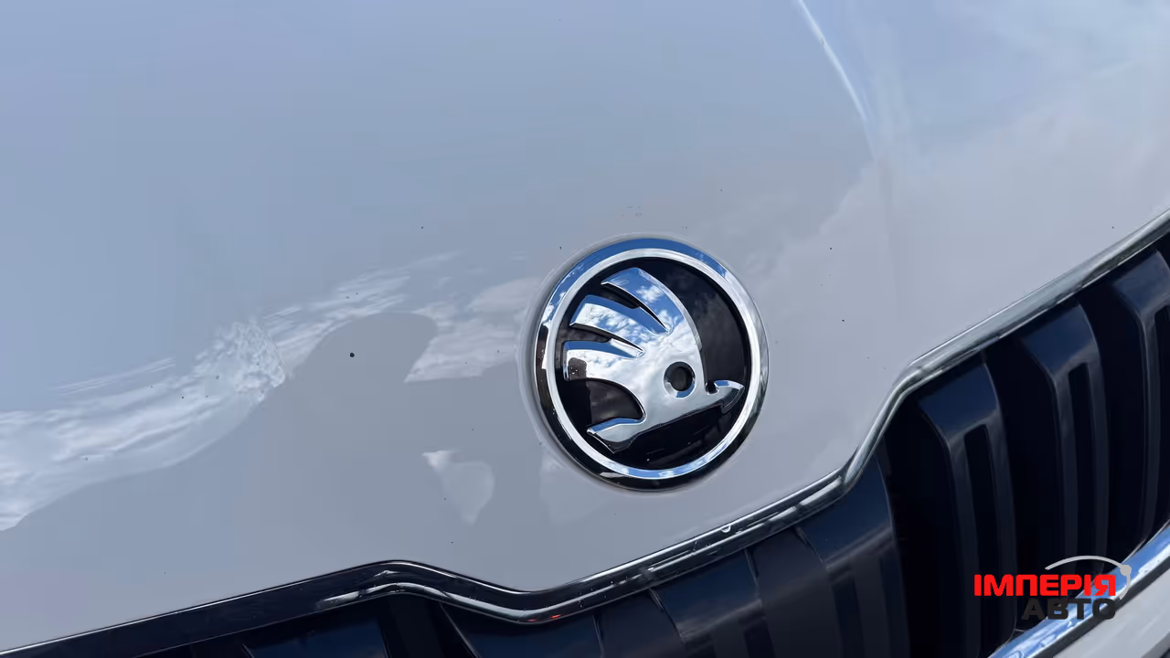 Skoda Kodiaq - фото 20