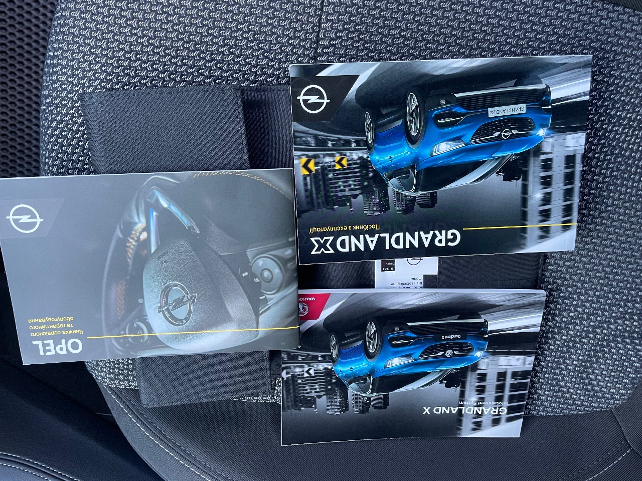 Opel Grandland X - фото 19