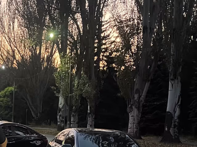 Honda Accord - фото 1