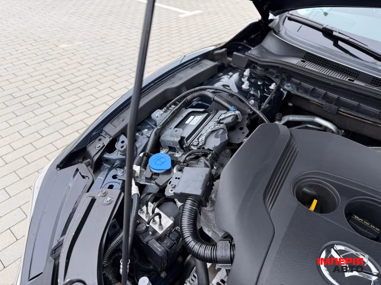 Mazda 6 - фото 48
