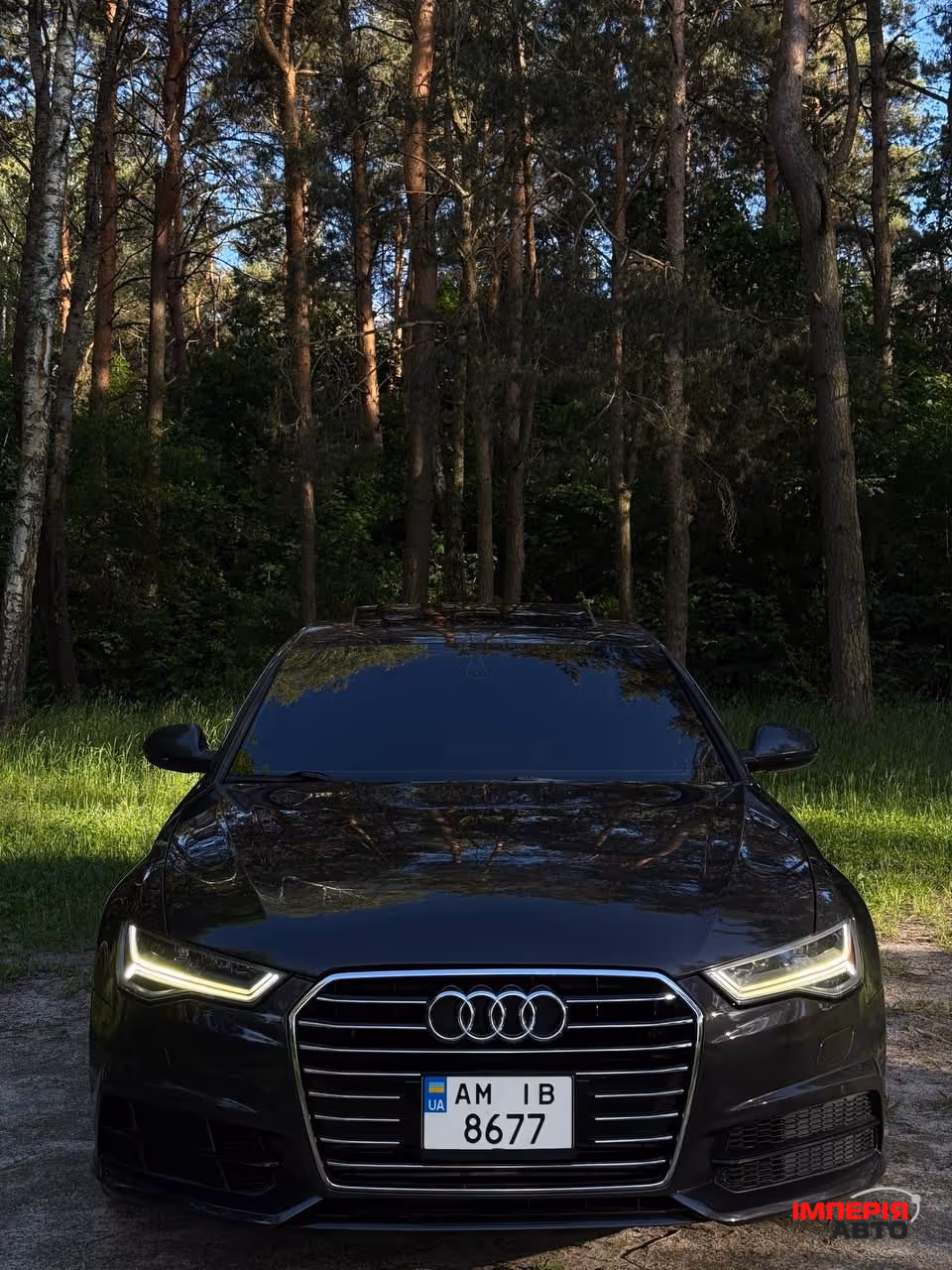 Audi A6 - фото 12