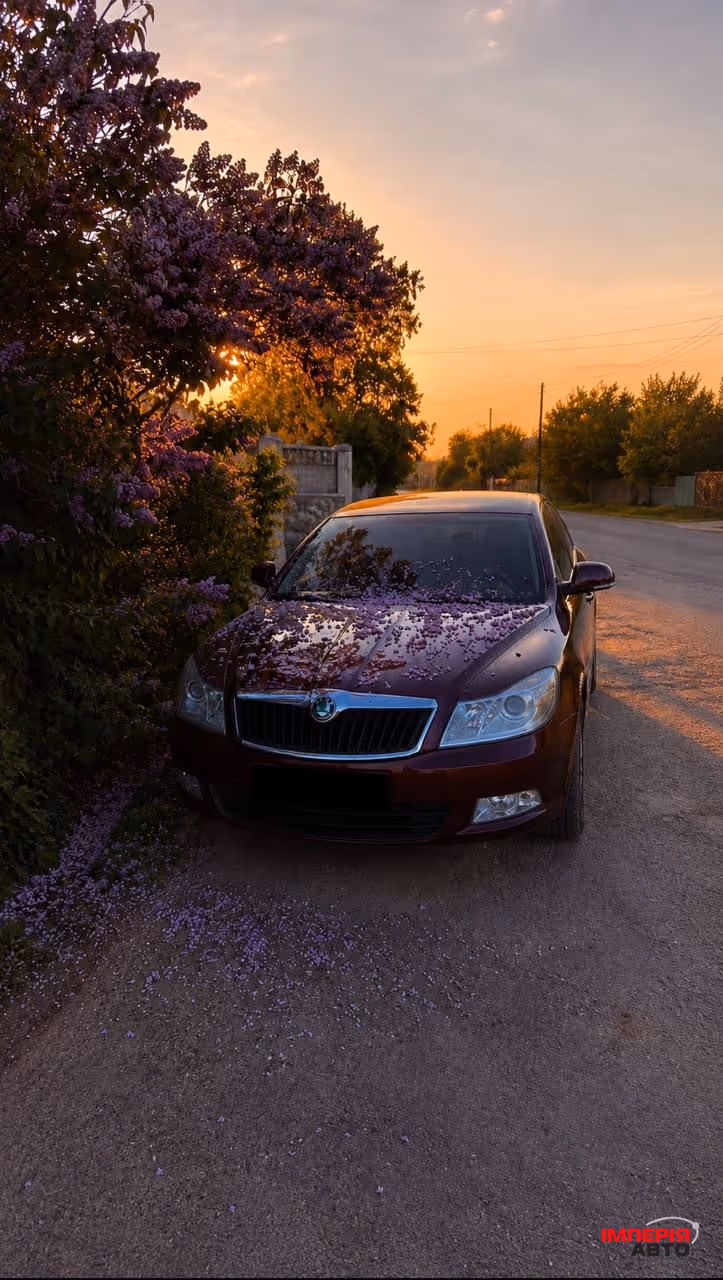 Skoda Octavia - фото 1