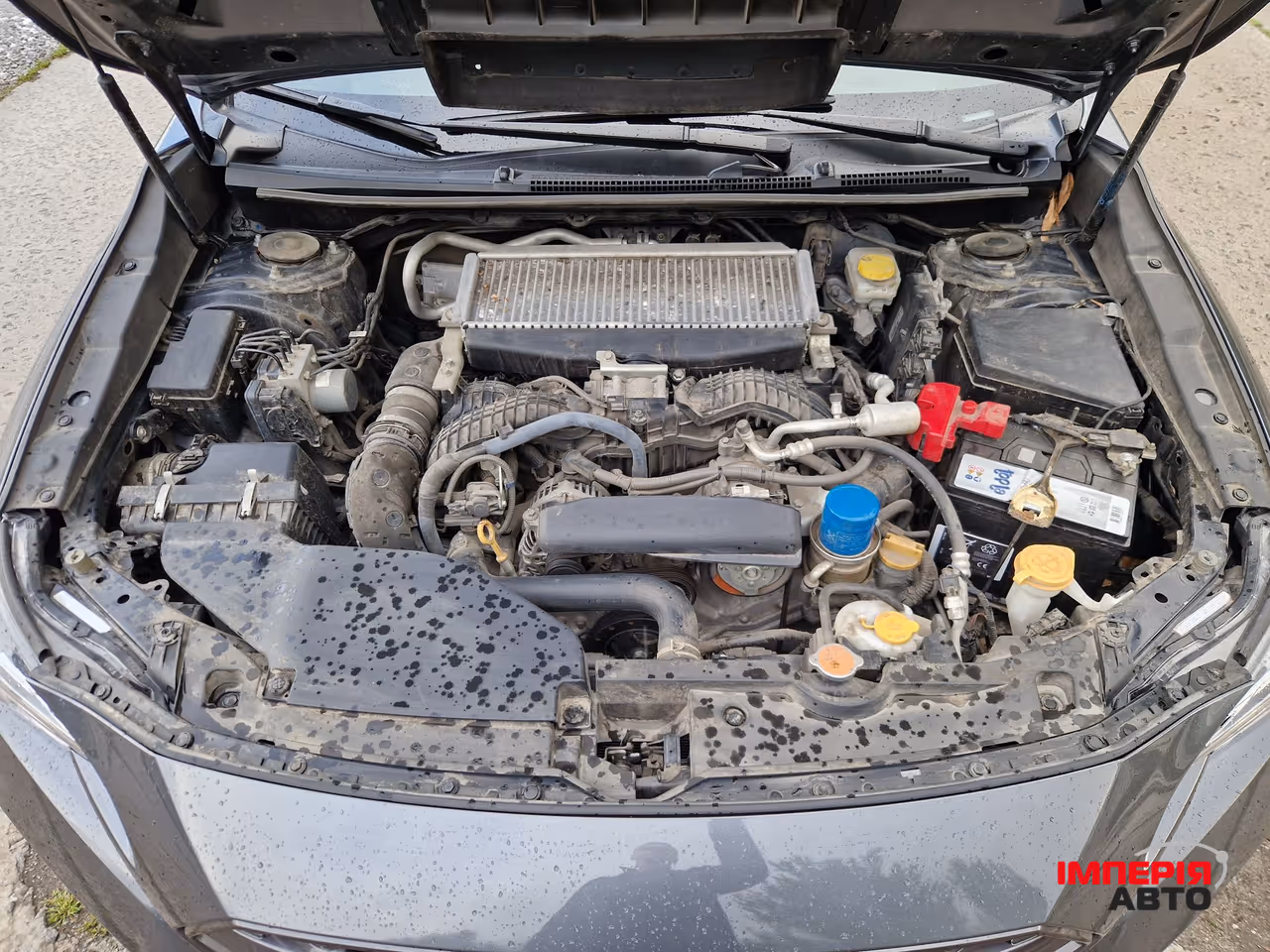 Subaru WRX - фото 39