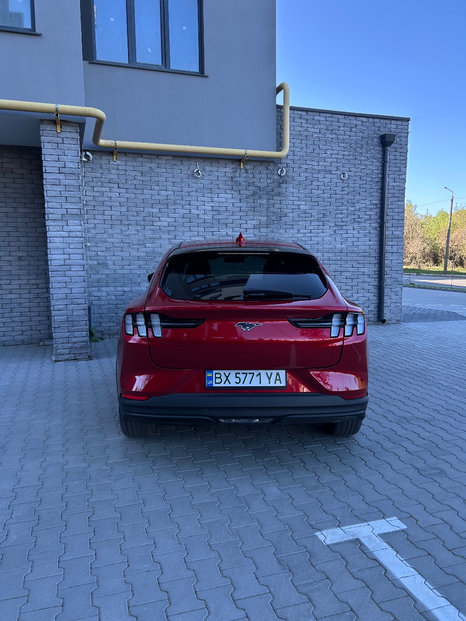 Ford Mustang Mach-E - фото 5