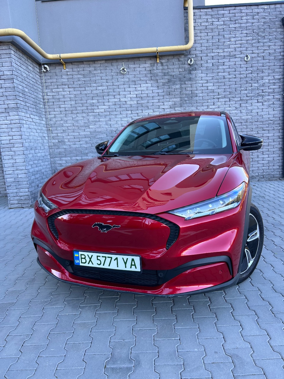 Ford Mustang Mach-E - фото 2