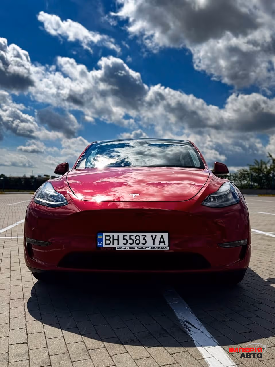 Tesla Model Y - фото 4