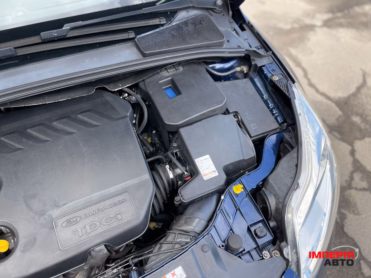 Ford Focus - фото 51