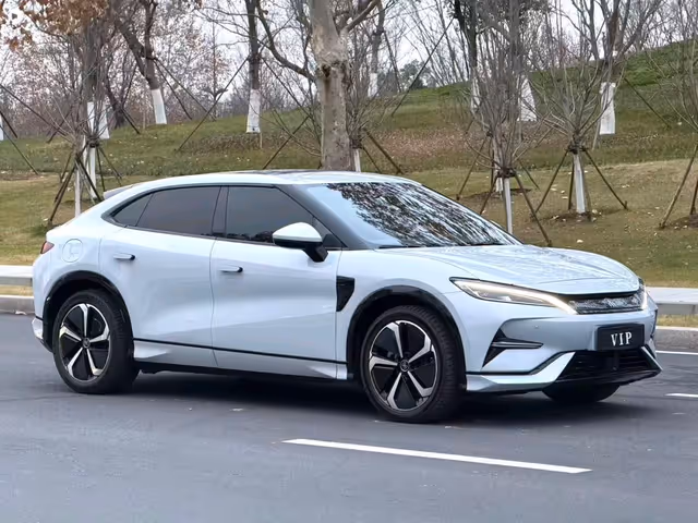 BYD Song L - фото 3