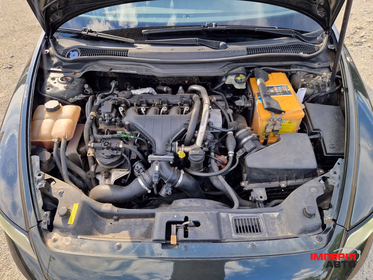 Volvo V50 - фото 26