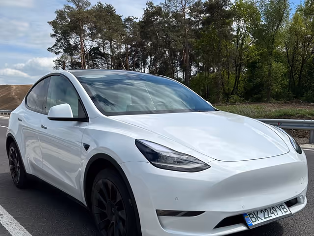 Tesla Model Y - фото 1