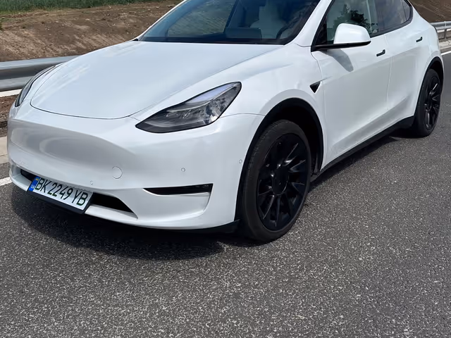 Tesla Model Y - фото 2