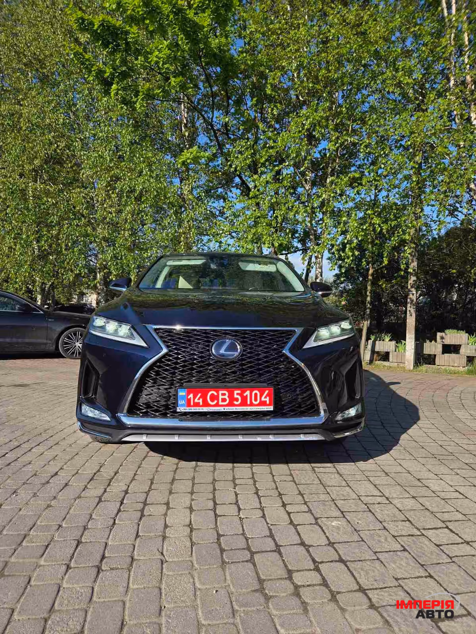 Lexus RX - фото 1