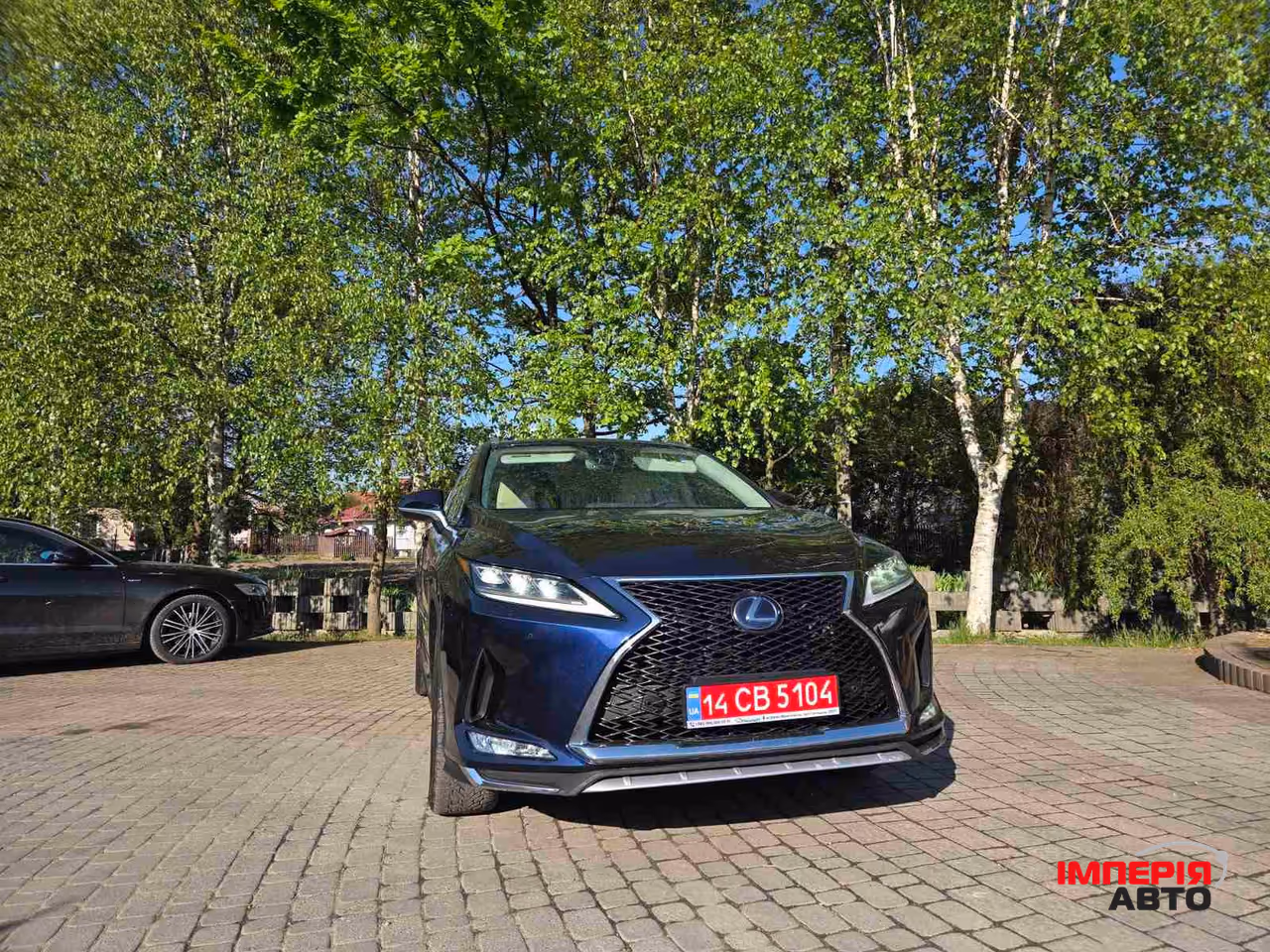 Lexus RX - фото 5